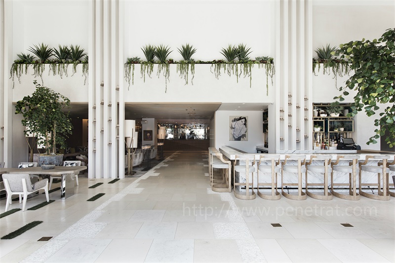 Hotel Lobby & Reception
